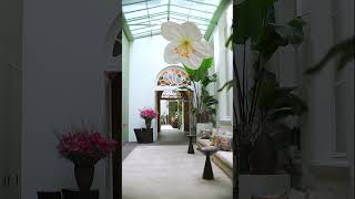 Welcome at Botanic Sanctuary Antwerp