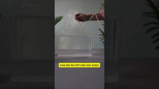 Home physics experiments #scienceexperiments #science #physics #experimnent #shorts #fyp