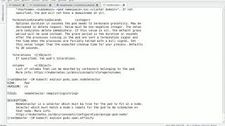 21 kubernetes高级调度方式
