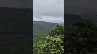 #TrainTravel #NatureVibes #TravelByTrain #TrainJourney #NatureLovers #TrainViews