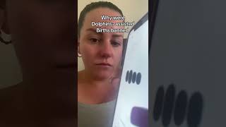 Why were dolphin births banned #dolphin #dolphincommunication #sageandstacey