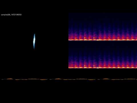 sampled28 1472108350