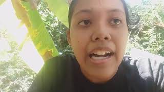 Agam Hana Utak Wate Geuba Honda Raya Su