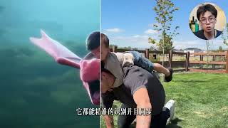 分享三个AI工具，总有一个你能用上！#AI #人工智能 #AI工具