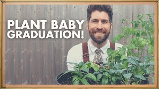 Never Lose Another Seedling with this 7-Day Hardening Off Process!