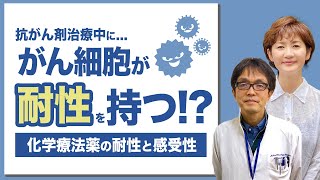 【抗がん剤治療】抗がん剤の耐性と感受性のことをあなたは知っていますか？