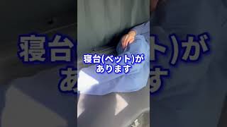 そうやって寝るの？　#トラック#社長と部下 #金沢市 #運送会社