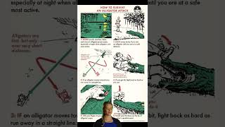 Programming A cool guide how to survive an alligator attack
