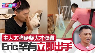 屈臣氏 Wats Petmacy 寵物藥妝呈獻：煉狗術師III｜EP10 Part1｜主人太強硬柴犬才發難 Eric罕有立即出手 ｜ Eric Ko ｜ 鄺芷凡 ｜柴犬｜HOY｜HOYTV