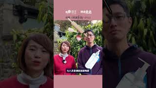 Taylor Swift帶動英通脹？｜氣炸鍋原來咁多人用｜英國消費