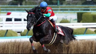 阪神スプリングJ　 障3900m (芝) 　マイネルグロン　牡6　62.0　石神深　2024.3.9　　出走馬：エコロデュエル、ロックユー、ニシノデイジー、トライフォーリアル、ワンダークローバー他