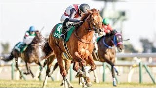 第７３回　ダイヤモンドステークス（GIII）　ミクソロジー　西村淳也　2023.2.18　　出走馬:シルブロン、ヒュミドール、マリノアズラ、スタッドリー、レクセランス他