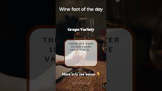 Grape varieties WINE FACT 🍷 of the day #shorts