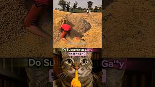 owwohh 😯 #funnycat #shorts #memes