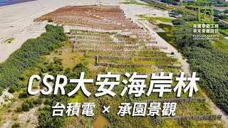 CRS企業社會責任｜大安海岸林植樹計畫