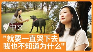新手妈妈患抑郁人数增加37%，澳洲华人女性自述至暗时刻  |  SBS中文