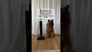Put the new Dreame H15 Pro to the test against Flakes 🐶 - the best little helper at home!