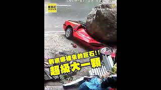 天降巨石黑狗逃跑不及遭壓！ 主人不放棄翻找結局超意外@newsebc