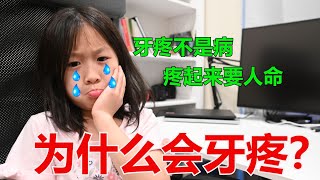 Tooth 101 Why Does Your Tooth Hurt? 牙疼怎么办？| 为什么会牙疼？ | 牙疼有哪些类型？