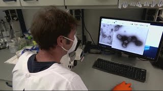 DC Health confirms 1st orthopox, possibly monkeypox case in the District