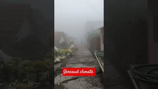 #yercaud #movie #svgc #funny #lifeisbutadream #comedyfilms #comedy #comedymovies #games #funnycomedy