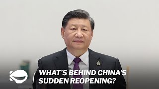 What’s behind China’s sudden reopening? | MS Explains