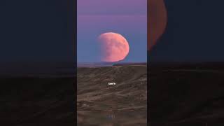 Rare Event of 2025 - Blood Moon 😱 #astronomy