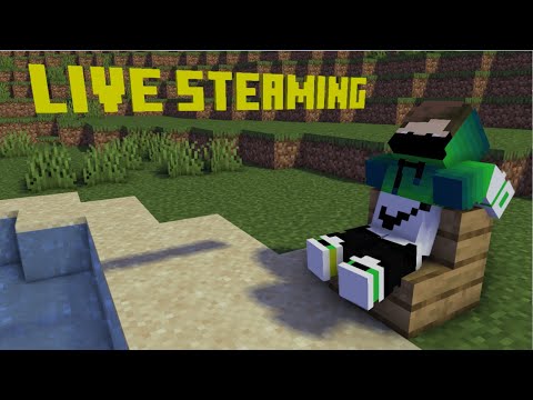 【生配信】マイクラの投票サーバーで遊ぶ！！（声なし） 【Minecraft】