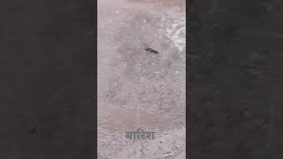 बारिश #barish #mosam #viralvideo ##shortsfeed #shorts #helpforyou