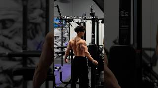 3 Exercises To Grow Your Upper Back 🦾