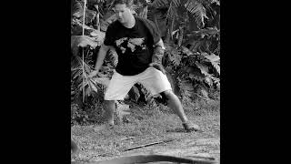 BLACK MAMBA GOES WILD!