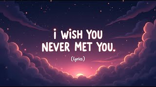 I Wish I Never Met You (Lyrics)
