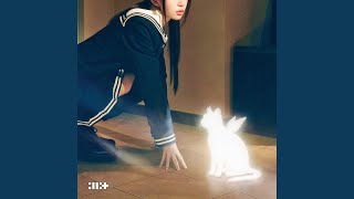 빌려온 고양이 (Do the Dance)