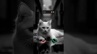 #call #iphone #ringtone #innovation #mobiletech #iphone15 #ringtones #smartphone #tech #cat