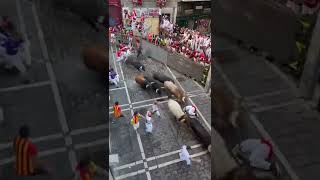 San Fermin Festival Pamplona Spain 2022 #bullsfestival #sanfermin22 #shorts