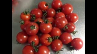 高級トマトジュース リコピンダイエット 朝トマト用の完熟無農薬のトマト リコピン効果で美肌とダイエット通販｜西洋野菜とかち農園 北海道十勝 Tomato Mail order