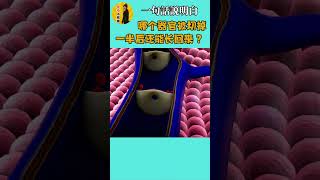 一句話講明白：哪个器官被切掉一半后还能长回来？#小知識  #冷知識 #人體 #科普 #學習 #肝臟