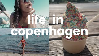 AMERICAN IN DENMARK: Danish Summer School, Summertime Fun in Copenhagen, Tivoli, Beach, Ice Cream