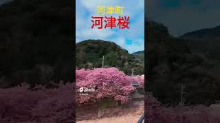 ↑↑↑つづきは長尺動画みてね🥰🥰🥰