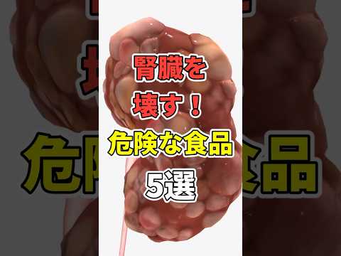 腎臓を破壊する危険な食品５選！　 #医療 #健康   #病気 #予防医療 #予防医学 #予防 #雑学　#shorts