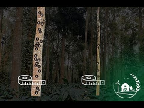 Agroforestry for Climate Resilience