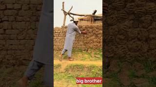 Chota Bhai bara Bhai #music #arabic #explore #cover #funny #dildigal #comedyvideos #comedy #funnydil