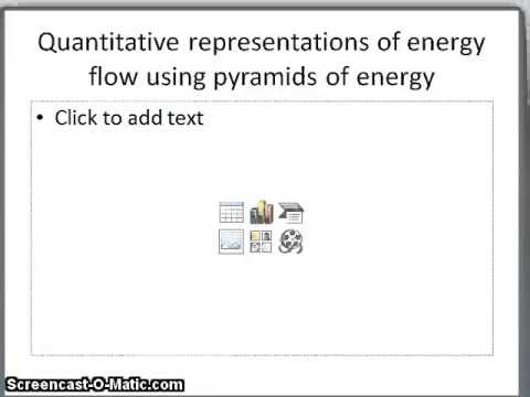 energy transfer Ecology