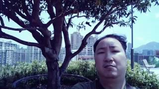 2017年4月何文田忠孝街公園(一)