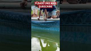 I ALMOST KICKED MASON IN THE FACE #swimmingpool #poolrepair #helpfultips #diy #shorts