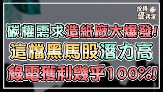 台灣碳權需求高，造紙業迎題材轉機，這檔黑馬股潛力高，綠電獲利幾乎100%!《投資優我罩》ft. 股魚 講股第二十五集_永豐餘(1907) 華紙(1905)
