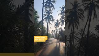 Beautiful Morning at Parra Road, Goa🌴🛣️🌴🌅#parraroad #goatravel #goadiaries #paradise #morningvibes