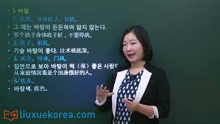 ★韩语学习 Learn Korean★ 第二十讲 TOPIK 高级词汇 名词 20 (-토픽 고급단어 명사)