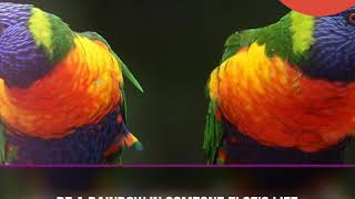 #RainbowDay