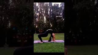 online yoga #shorts #yoga #yogaindia #kriyayoga #naulikriya #yogainstructor #yogainsta #contentid